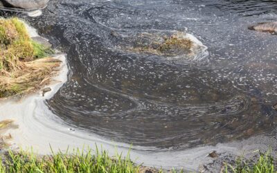 El Impacto Negativo de los Detergentes en Nuestros Ríos: Una Llamada a la Acción